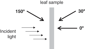 Measurement Of Leaf Optical Properties Chapter 4 Leaf