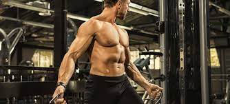 The workouts are created by fitness experts and come with a free build a better chest with coach myers' 1/4 rep methods. The Best Upper Chest Exercises Exercise Co Uk Exercise Co Uk