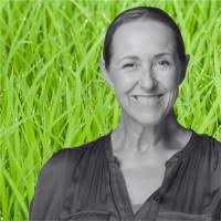 300+ "Woodham" profiles