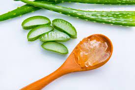Organic Aloe Vera Gel Extract from Ahimsa Oils