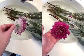 It's supposed to be good for their skin. How To Set Up And Capture Milk Bath Photography Sessions Summerana Photoshop Actions For Photographers