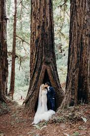 Best Redwood Forest Wedding Venues In California Forest Wedding Venue Redwood Forest Wedding Redwood Wedding Venue