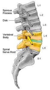 According to ayurveda, bulged disc is a condition that happens due to the imbalance of vata dosha in the body and ayurvedic treatment is a good way to restore the basic functional strength of the body. Ayurvedic Treatment Of L4 L5 Slip Disc Without Surgery