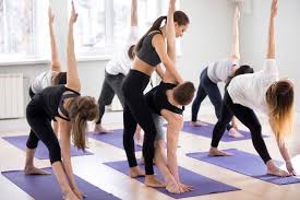 Muir woods & wine country w/ optional gourmet lunch Hatha Yoga Wordpress Theme