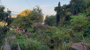 How the Filbert *** Came to Be an Oasis in San Francisco | KQED