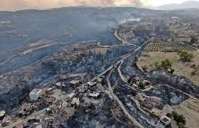 Τεράστια είναι η οικολογική καταστροφή που έχει προκληθεί καθώς σύμφωνα με τις εκτιμήσεις των πυροσβεστικών δυνάμεων έχουν καεί μέχρι. Zlvwdrdceqq9sm