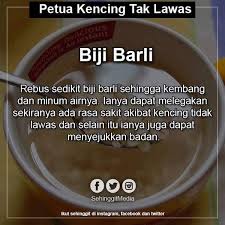 Tetapi terdapat juga kes lain yang lebih serius dan berterusan. Koleksi Viral Petua Semulajadi Hilangkan Kencing Tak Facebook
