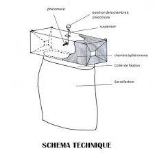 Et pour les attirer sur votre terrain, vous pouvez installer ces mangeoires à papillons fabriquées à la maison. Pieges Pheromones Lutter Contre La Chenille Processionnaire Du Pin La Mesange Verte