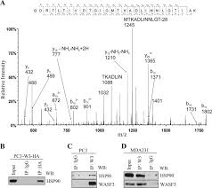 To print a fillable form you created it is required must have a subscription. Hsp90 And Hsp70 Proteins Are Essential For Stabilization And Activation Of Wasf3 Metastasis Promoting Protein Journal Of Biological Chemistry