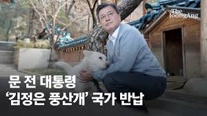 ±Ç¼ºµ¿ º»ÀÎ ¿¬±Ý ºñ°ú¼¼ µ¹¸° Ùþ, »ç·å°ª ¾Æ±î¿ö dz»ê°³ ÆÄ¾ç | Áß¾ÓÀϺ¸