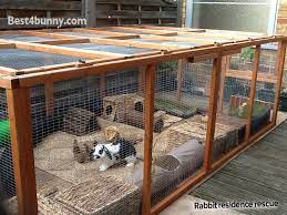 Diy rabbit hutch for our indoor rabbits! Housing Ideas Best 4 Bunny