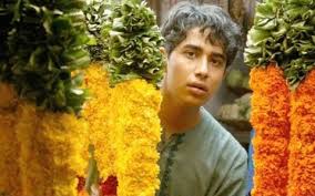 9 Big Differences Between The Life Of Pi Movie And Book Cinemablend