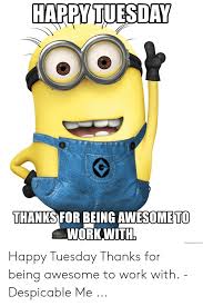 100 funny tuesday memes, pictures & images for motivation. 24 Happy Tuesday Meme Work Pictures And Jokes Picss Mine