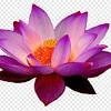 Check spelling or type a new query. Https Encrypted Tbn0 Gstatic Com Images Q Tbn And9gcsvdraa9 Tms9czmjlgrsyybtfyek5qq Xpvwlq7gmtxy Pb1hz Usqp Cau