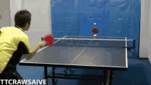 Nov 09, 2020 · the best table tennis memes and images of july 2021. Ping Pong Funny Gifs Tenor