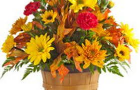 Royer S Flowers 201 Rohrerstown Rd Lancaster Pa 17603 Yp Com