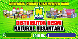 Contoh desain mmt nasa / jual spanduk agen nasa ukuran 100 cm x 70 cm di lapak kasima grafika bukalapak. 15 Ide Desain Spanduk Banner Nasa Spanduk Nasa Desain Banner