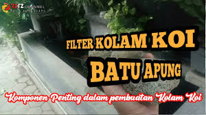 Filter Kolam Koi Batu Apung Youtube