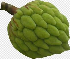 A fruit salad tree is a type of unique tree that grows different fruits together in one. Apple Fruit Fruit Tree White Apple Logo Apple Apple Logo Fruit Salad 500760 Free Icon Library