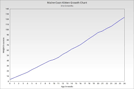 42 Unbiased Growth Chart For Kittens