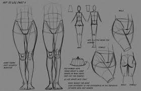 Leg Hip Notes P4 By Funkymonkey1945 Deviantart Com On Deviantart Anatomy Drawing Anatomy Reference Leg Anatomy
