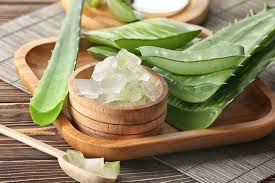 Cosmopolitan indonesia pun punya 6 rekomendasi produk aloe vera gel yang sayang untuk kamu lewatkan lho. 6 Manfaat Lidah Buaya Termasuk Untuk Kecantikan Jovee Id