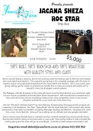 Crystal is a beautiful and gentle solid black american paint horse mare. Facebook