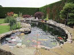 Jun 04, 2020 · a koi pond can be a beautiful, calming addition to your garden or your backyard. Never Too Big Fish Ponds Backyard Fish Pond Gardens Koi Pond
