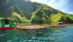 Desember Regal Springs Indonesia Relokasi Kja Ke Toba Suaratani Com
