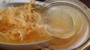 Check spelling or type a new query. Sea Moss Benefits For Hair And Skin Health Detox Cure