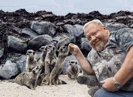 Последние твиты от zoo zajac (@zoo_zajac). Interview Mit Norbert Zajac Von Zoo Zajac Teil 1