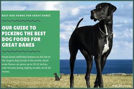 What distinguishes the top puppy food for great danes? 11 Best Highest Quality Dog Foods For Great Danes In 2021