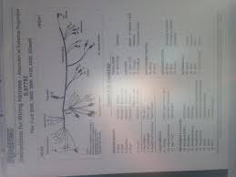 Ford transit connect wiring diagram.jpg. Made To Fit Ford Wiring Harness Ford Diesel D6nn14a 2600 3600 3900 4100 46 607939650193 Ebay