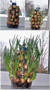 100 astuces pour le jardin qui facilitent la vie jardinage jardin de legumes jardinage en pots