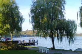 Check spelling or type a new query. Ferienwohnung In Krakow Am See Mecklenburgische Seenplatte West Nahe Zum Wasser Ferienhaus Mit Hund