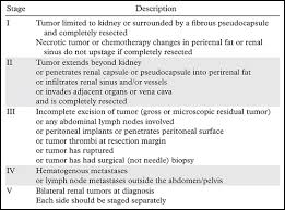 The good news is that most kidney cancers are found before they spread (metastasize). Renal Tumors Of Childhood Radiologic Pathologic Correlation Part 1 The 1st Decade From The Radiologic Pathology Archives Radiographics