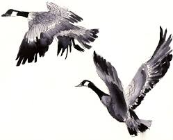 Black And White Goose Silhouette Pin By Cara Cahill On First Try Goose Tattoo Canadian Goose Bird Drawings