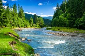 Landscape With Mountains Forest And A River In Front Beautiful Scenery By Ss The Fine Art Frame Company