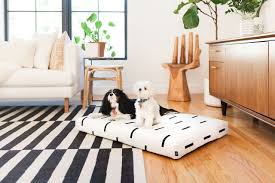 Check spelling or type a new query. Stylish Designer Dog Beds From Laylo Pets