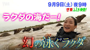 日立 世界ふしぎ発見！｜TBSテレビ
