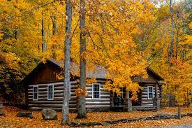 The area consists of approximately 40 acres and is accessible by us rt. Make Memories In Your Cozy Cabin At Wv State Park West Virginia State Parks