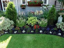 Womens Dp Maternity Khaki Relax Shaket Front Garden Landscape Front Yard Landscaping Design Front Yard Garden