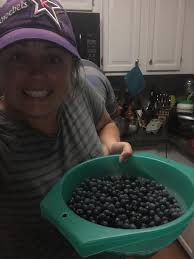 Blueberry recipes needed for gluten/dairy/soy free cooking