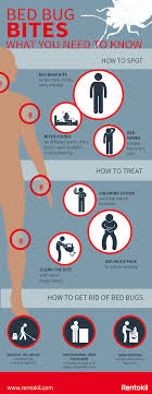 Bed Bug Bites What You Need To Know Debugged Use advantage plus on your cat or frontline plus its cheaper.you cannot get rid of fleas with a flea collar. bed bug bites what you need to know