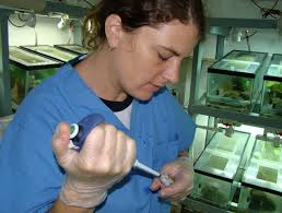 Building Noah´s Arks for Panama´s Amphibians with Heidi Ross Griffith