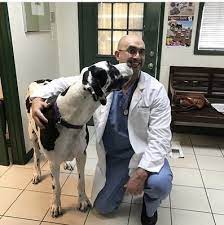 We invite you to bring your pet to affordable animal hospital silver lake for veterinary services. Affordable Animal Hospital Silver Lake 74 Photos 134 Reviews Veterinarians 2417 Riverside Dr Los Angeles Ca Phone Number