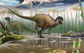 Une découverte en Sibérie suggère que presque tous les dinosaures avaient  des plumes | National Geographic