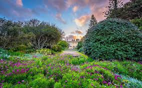 Interfacelift Wallpaper Government House Royal Botanic Gardens Sydney Botanical Gardens Garden Supplies