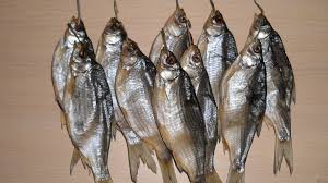 Check spelling or type a new query. Apa Impian Ikan Kering Tentang Buku Impian Ikan Kering