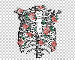 Learn from anatomy to improve your poses. Rib Cage Anatomy Png Clipart Anatomy Art Breathing Cage Costume Design Free Png Download